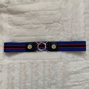 Express Elastic Stripped Belt